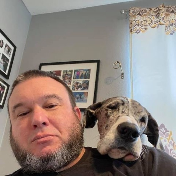 Meet your Posher, Steve - Picture 1 of 1